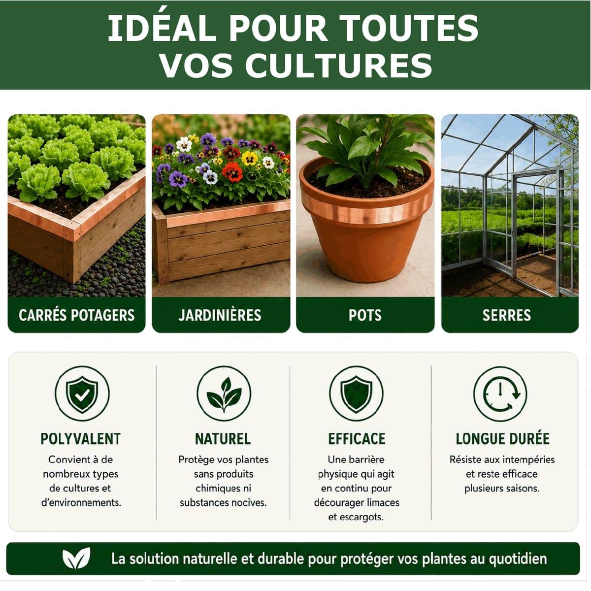 Tout pour les nuisibles - Ruban de Cuivre Anti-Limaces et Escargots SOLU'LIMACES – Barrière Physique Adhésive pour Potager, Jardinières, Pots et Bacs de Culture - Image 5