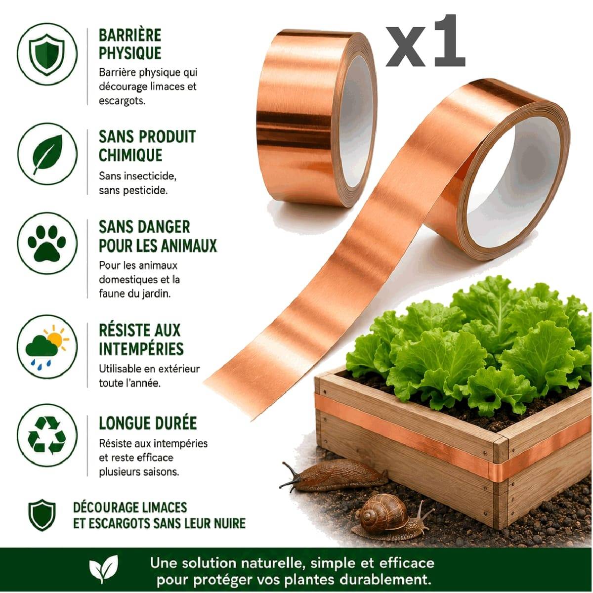 Tout pour les nuisibles - Ruban de Cuivre Anti-Limaces et Escargots SOLU'LIMACES – Barrière Physique Adhésive pour Potager, Jardinières, Pots et Bacs de Culture - Image 2