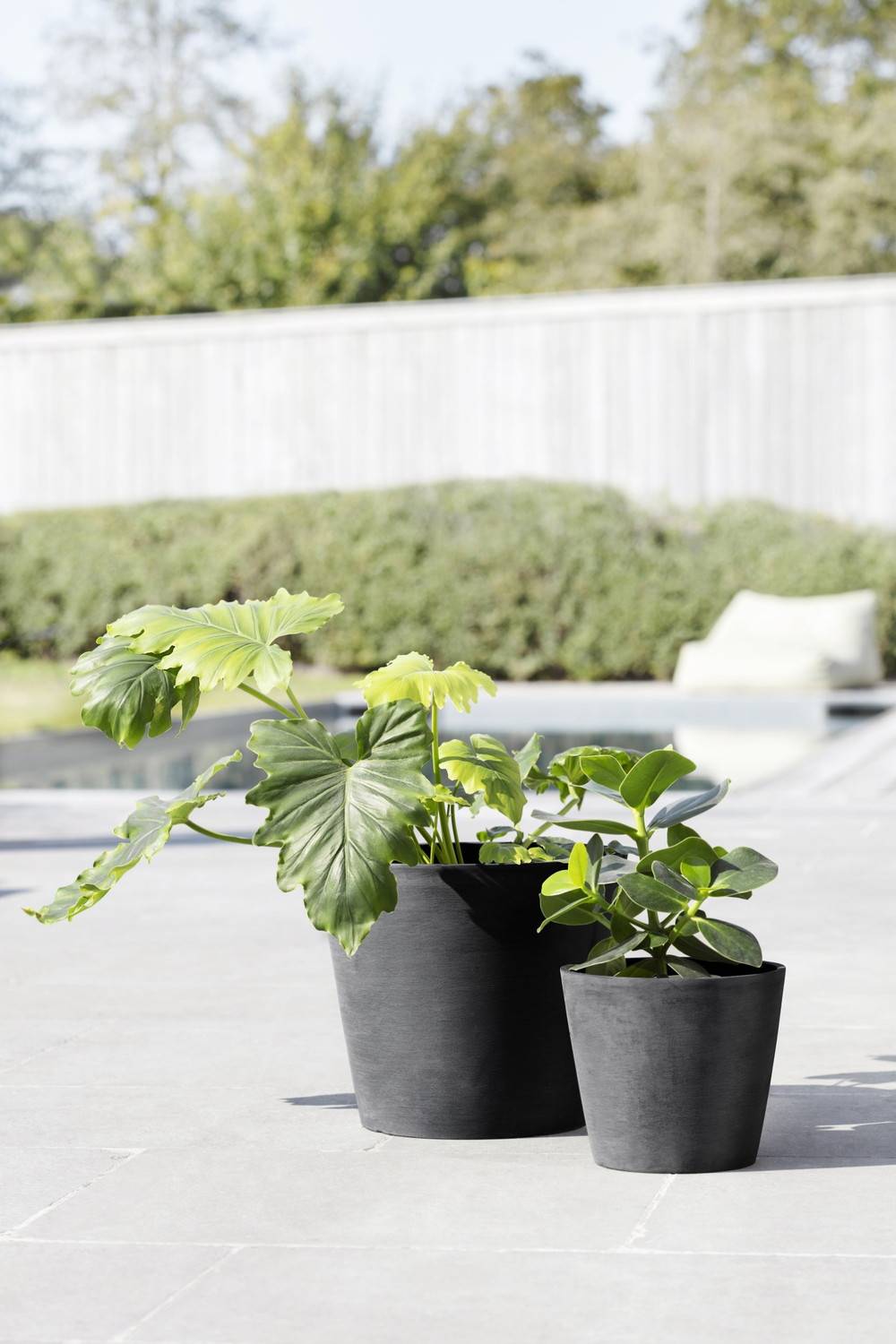 Ecopots - Pot Rond Amsterdam 30 Gris Foncé + réservoir d'eau - Ø 30 x H. 26,3 cm - 12,8 L ECOPOTS - Image 4