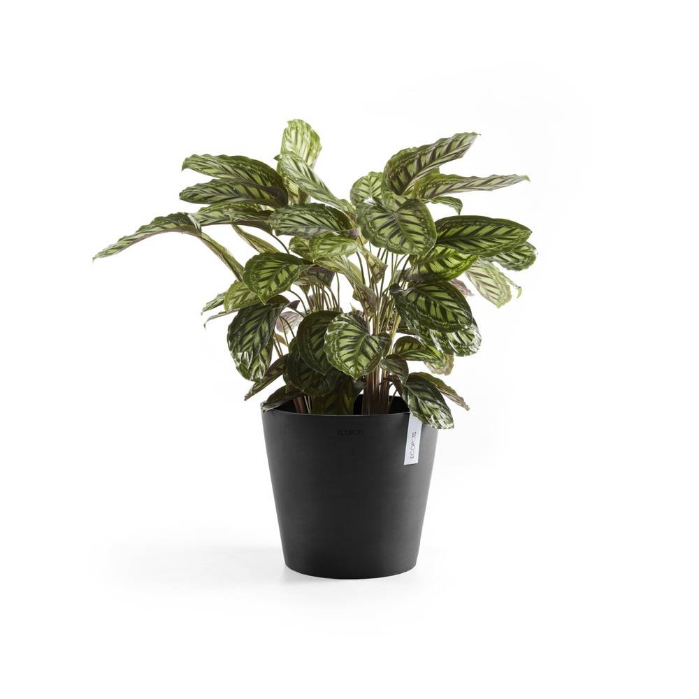 Ecopots - Pot Rond Amsterdam 30 Gris Foncé + réservoir d'eau - Ø 30 x H. 26,3 cm - 12,8 L ECOPOTS - Image 3