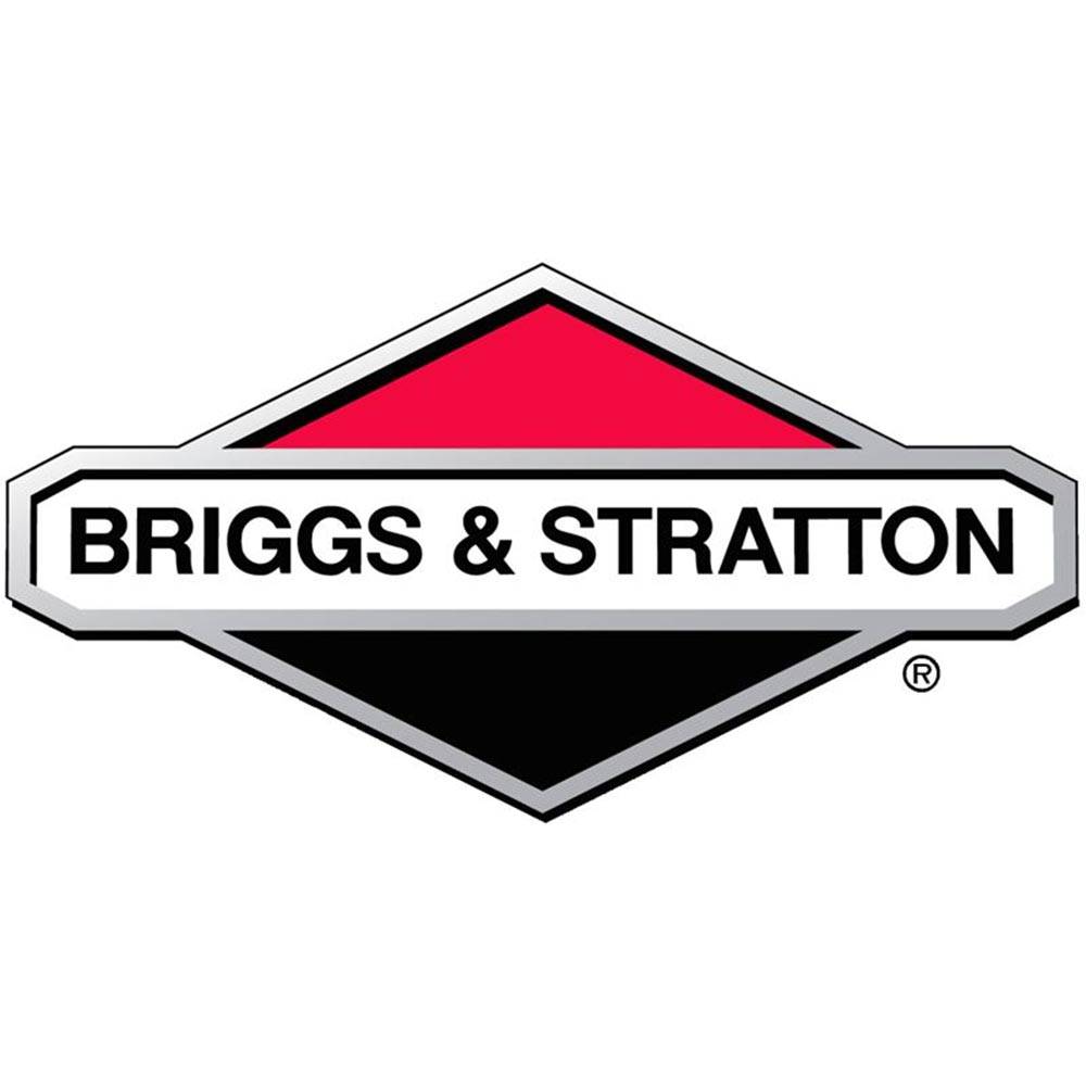 Briggs & Stratton - roue ar avec roulement - 884105YP - Briggs and Stratton