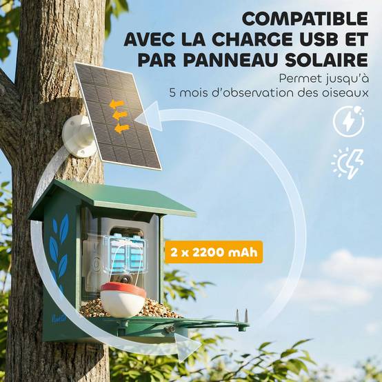 Mangeoire à oiseaux avec caméra acier vert 30 x 34.5 x 26.3 cm - PANGIVO - Image 10
