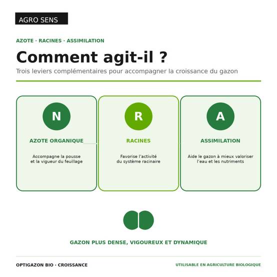 Optigazon : croissance - Engrais liquide riche en Azote - 1 litre - Image 4