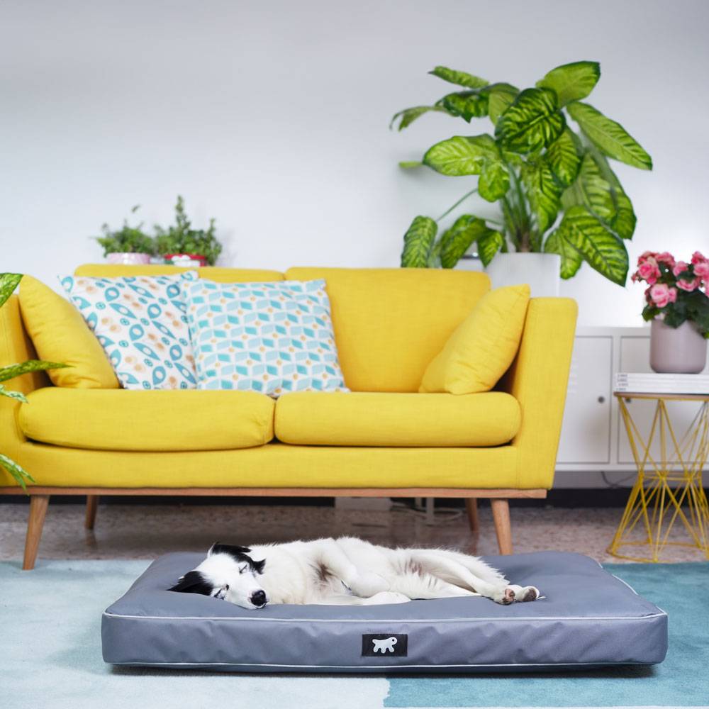 Ferplast - FERPLAST Panier Chien Chat - Coussin Orthopédique Chien - Lavable en Machine - Tapis Chien - Lit Chat Chien - Imperméable & Anti-Rayures - Rembourrage - Image 3