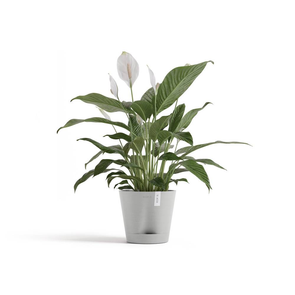 Ecopots - Pot Rond Venice 2 Blanc Gris + réservoir d'eau - Ø 20 x H. 17,5 cm - 4 L ECOPOTS