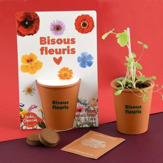Radis et Capucine - Radis et Capucine - Carte message - Bisous fleuris - Mellifères - Image 3