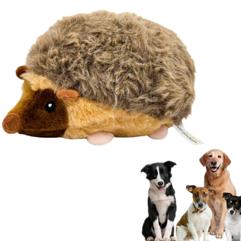 Hérisson Sonore Indestructible - Jouet à Mâcher pour Chien-Living123 - Image 1