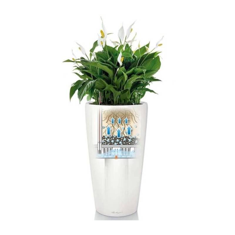 Lechuza - Pot De Fleur Lechuza Rondo Premium 40 - Kit Complet, Blanc Brillant - Image 3