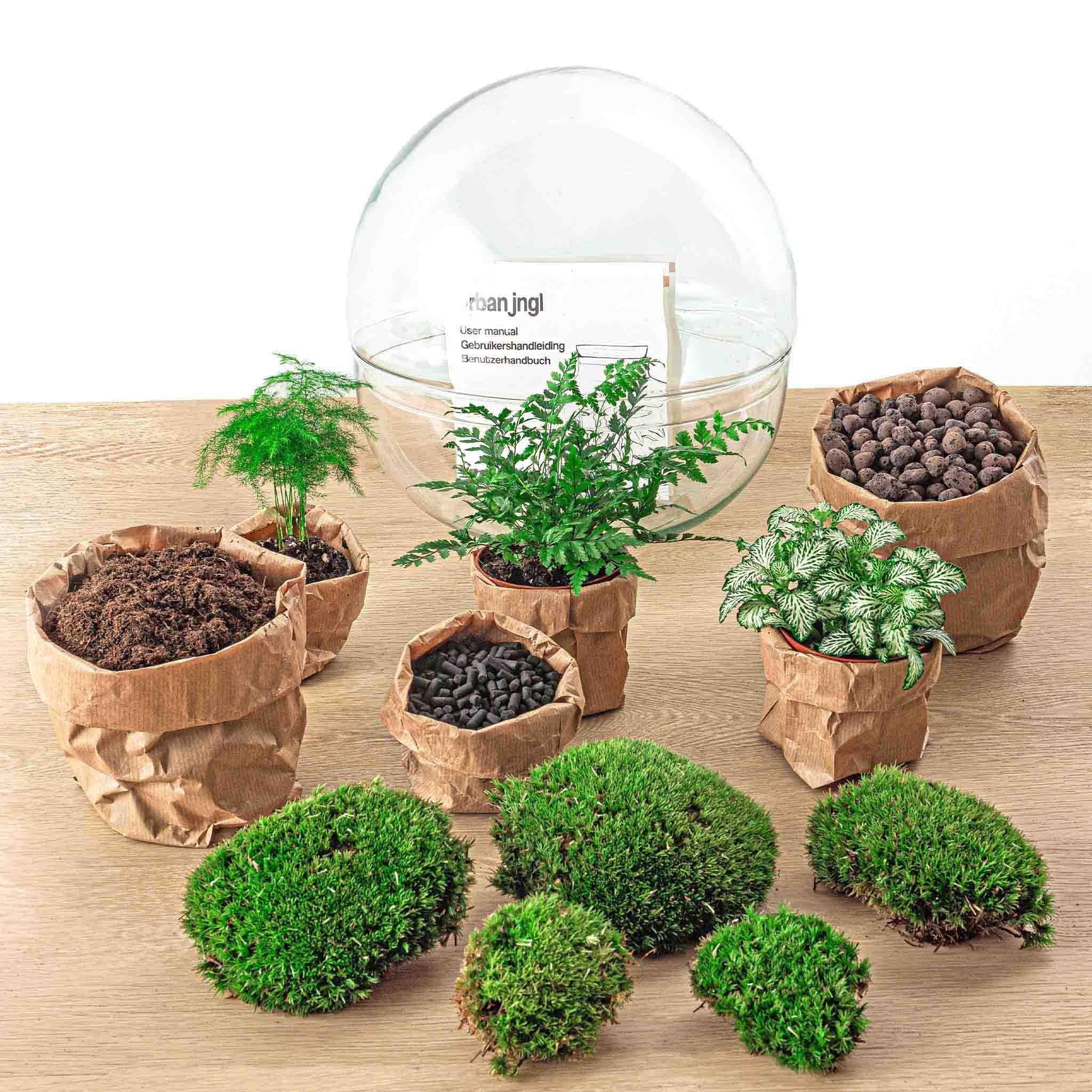 Diy Terrarium - D30 H30cm - Image 3