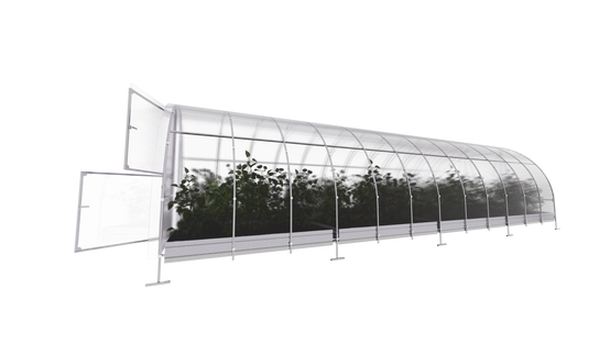 KLASIKA GREENHOUSES - Serre KLASIKA EASY 3 x 8 m (24 m²), 6 mm avec revêtement en polycarbonate - Image 4