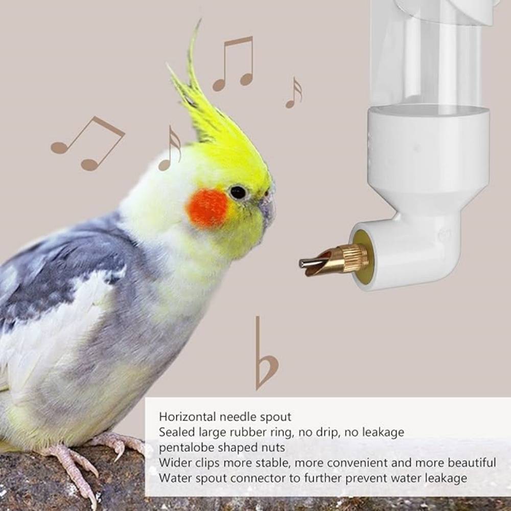 DtopbuyAge - Abreuvoir Automatique Pour Divers Oiseaux DtopbuyAge - Image 3