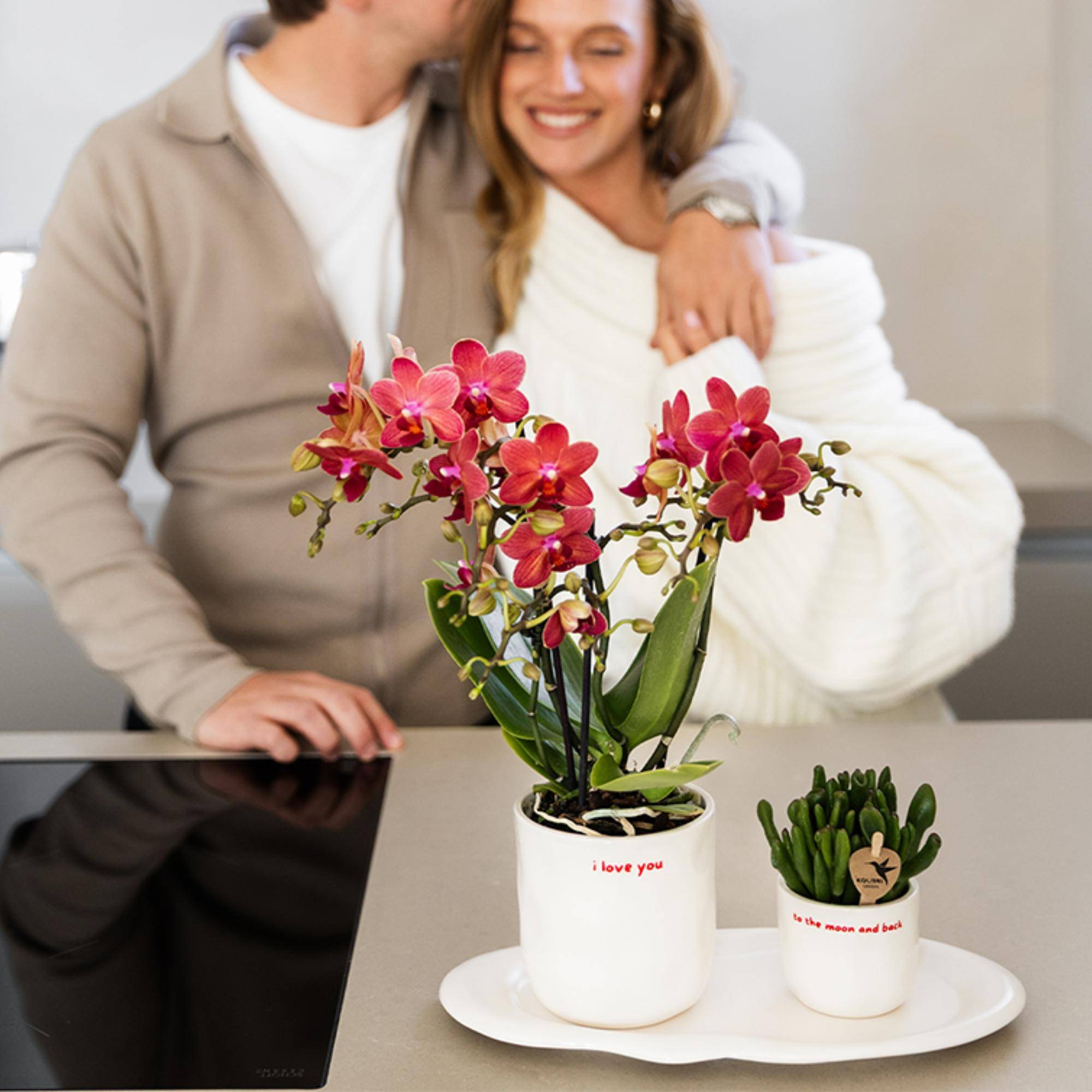 Orchidée Phalaenopsis 'Congo' rouge - Pot de 9cm - Sans cache-pot - Plantes d'intérieur - Image 4