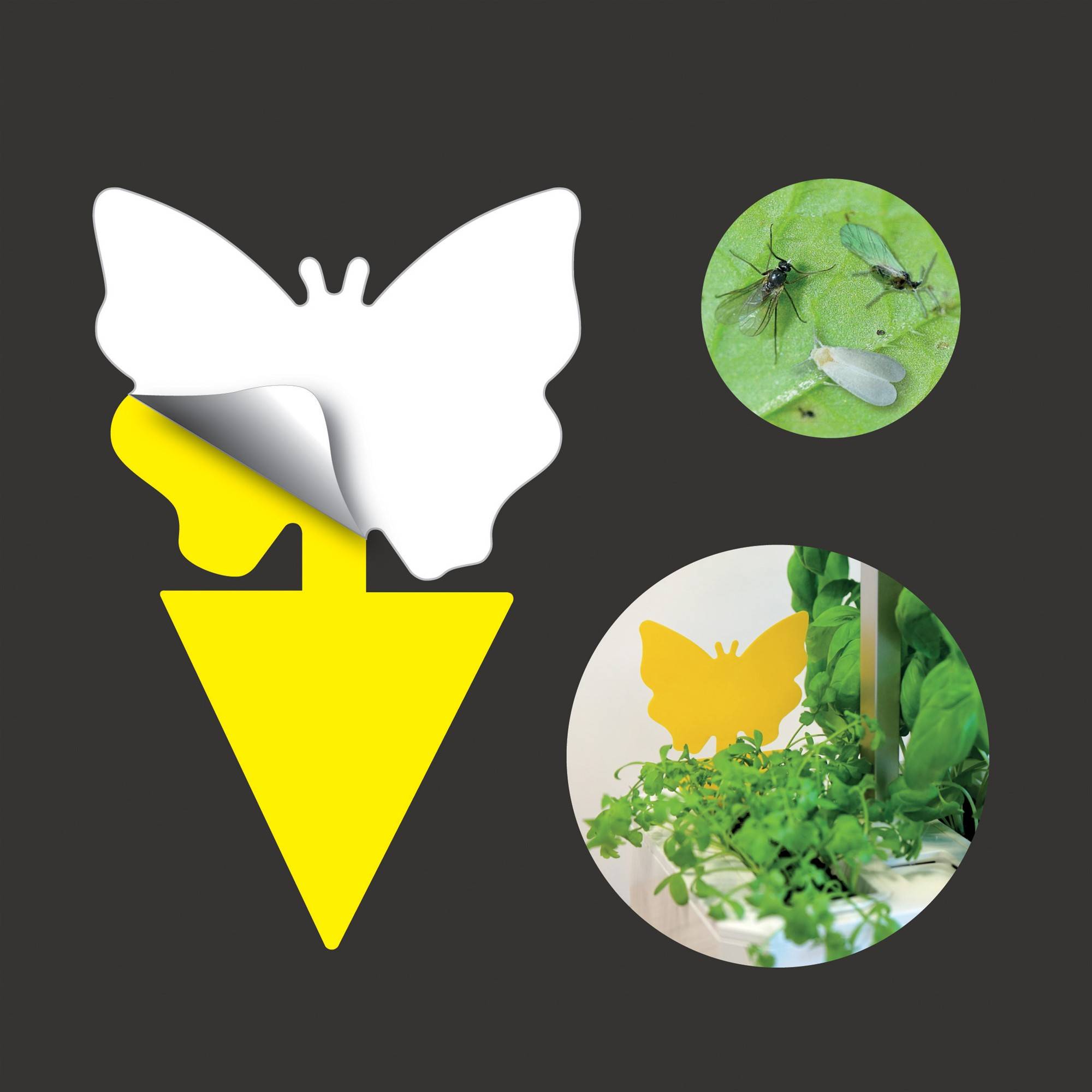 Veritable - 8 pièges jaunes collants contre les insectes - Véritable - Image 5