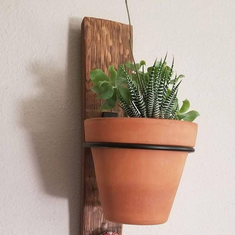 Support pour pot de fleurs,Anneaux pour pots de fleurs - Supports pour plantes - Pliables - Lot de 3 - 5 pouces-Lytech - Image 4