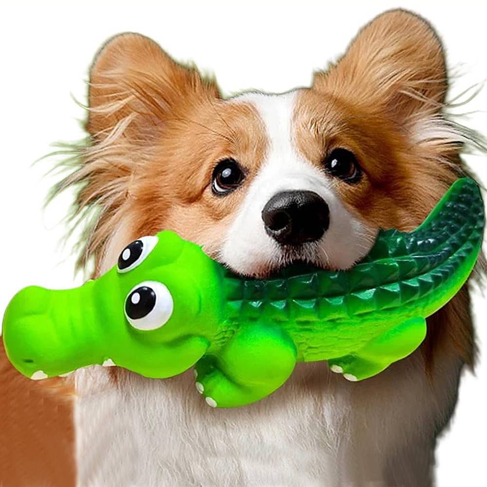 DtopbuyAge - Jouet à mâcher pour chien - En caoutchouc indestructible - Image 1
