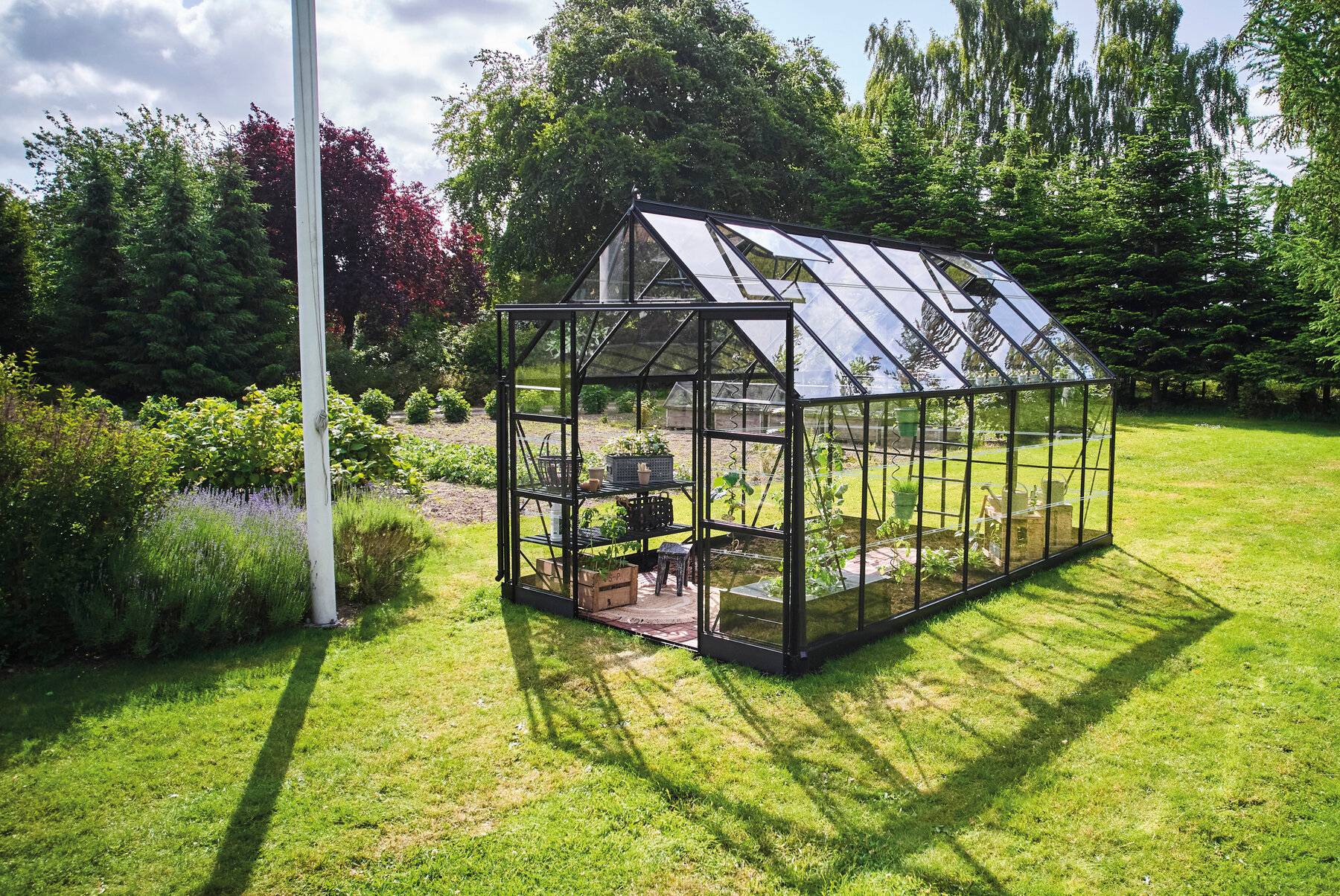 Halls - Serre en verre horticole 11,2 m² ICON 8 + embase, noir - Halls - Image 1