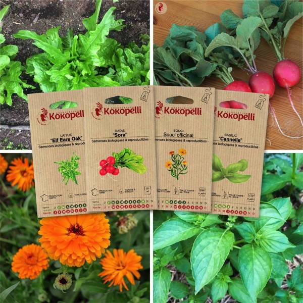 Potager du balcon - 4 sachets de graines bio à semer - Image 1