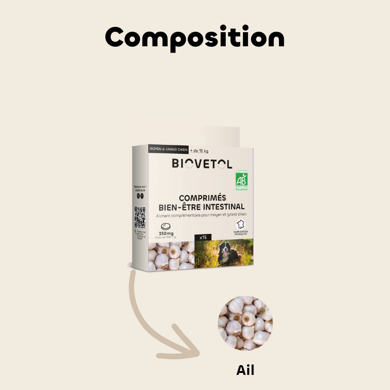 Biovetol - Comprimés Bio Bien-être Intestinal pour Grand Chien - Image 3