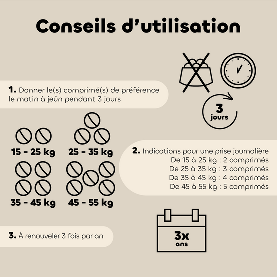 Biovetol - Comprimés Bio Bien-être Intestinal pour Grand Chien - Image 4