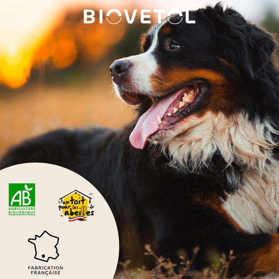 Biovetol - Comprimés Bio Bien-être Intestinal pour Grand Chien - Image 2