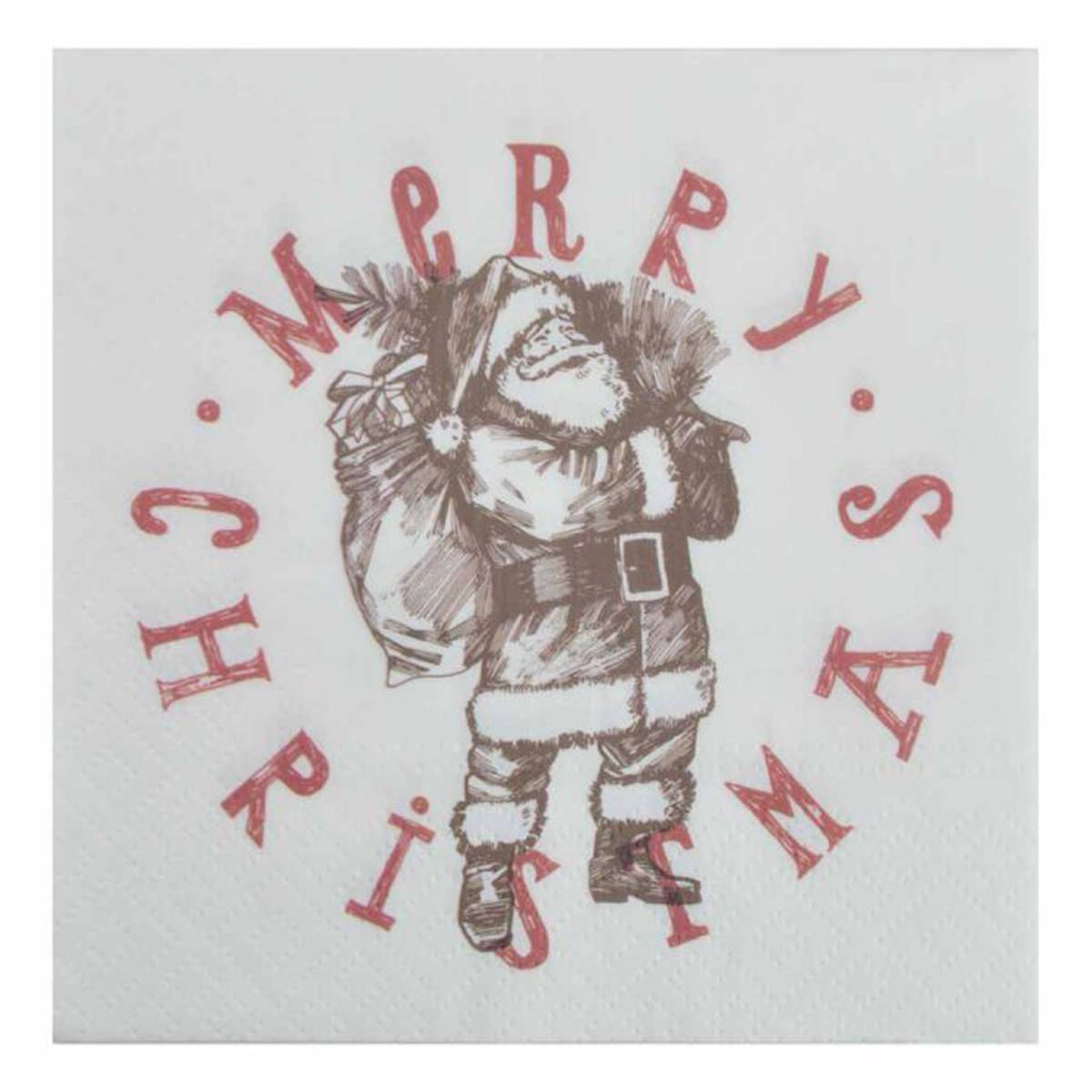 Paris Prix - Lot de 20 Serviettes en Papier "Père Noël" 33x33cm Blanc