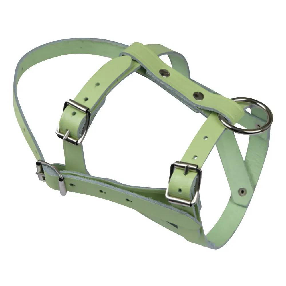 Licol pour mouton ou bélier en cuir Kerbl - Image 1
