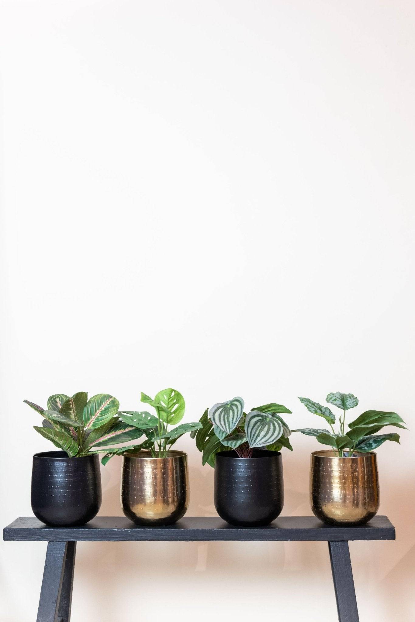 La Green Touch - Monstera Monkey plante artificielle - h29cm, Ø18cm- La Green Touch - Image 4