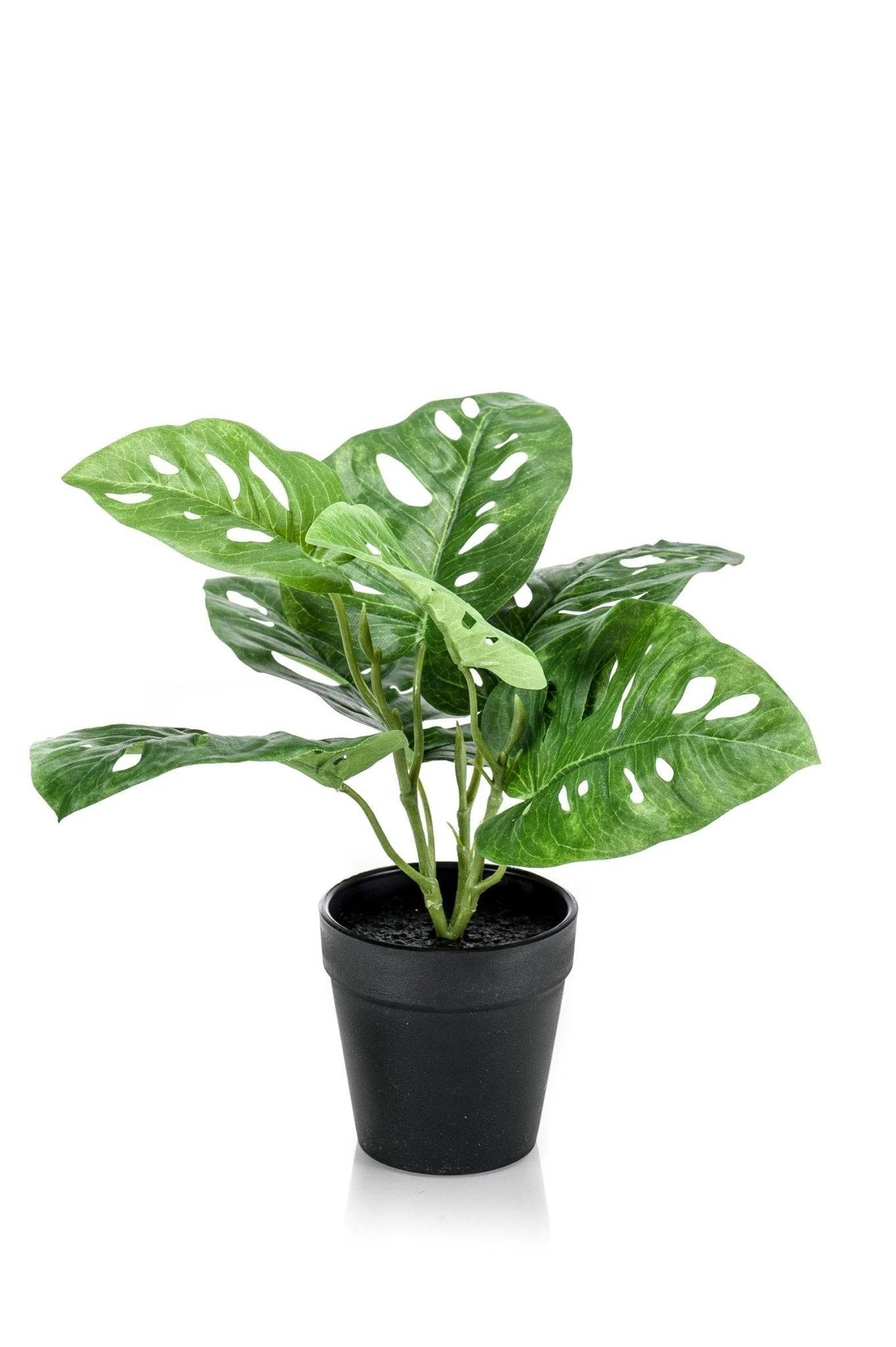 La Green Touch - Monstera Monkey plante artificielle - h29cm, Ø18cm- La Green Touch - Image 5