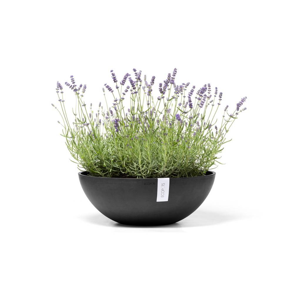Ecopots - Pot Rond Vienna 50 Gris Foncé - Ø 50 x H. 18 cm - 22,3 L ECOPOTS - Image 2