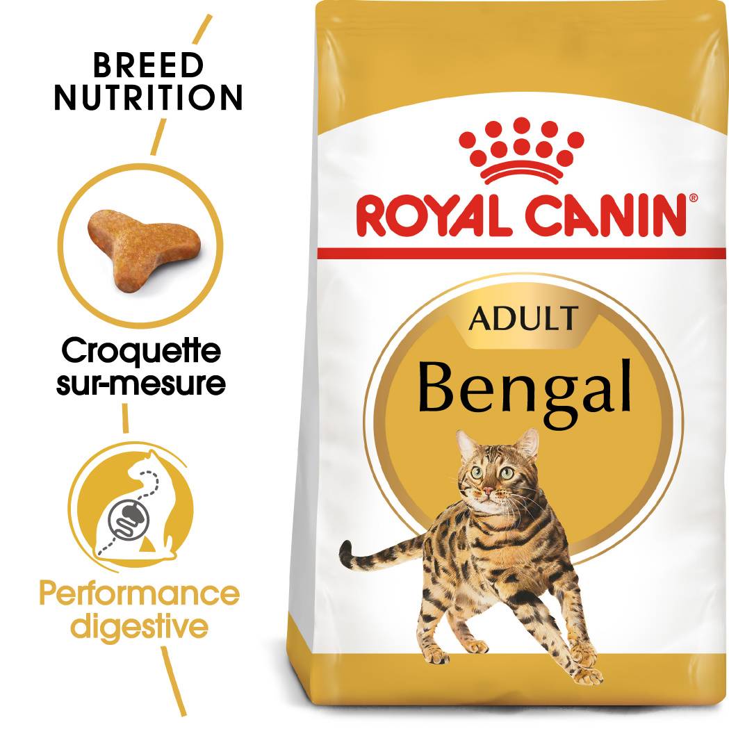 Royal Canin - Royal Canin - Croquettes pour Bengal Adulte - 2 kg