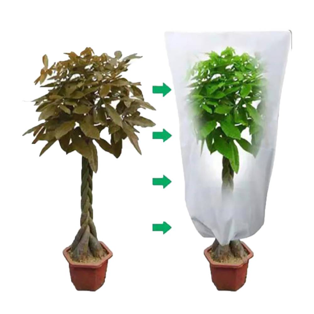 Couverture de protection pour plantes - petit arbre 60x80 cm - Image 3