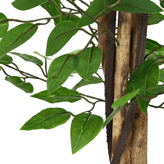 Plante artificielle ficus PEVA et bois vert 15 x 15 x 120 cm - PANGIVO - Image 3