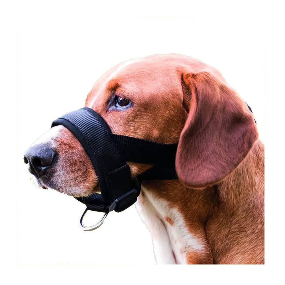 Trixie - Muselière sangle taille L-XL pour chien Bouvier Bernois, Golden Retriever. - Image 1