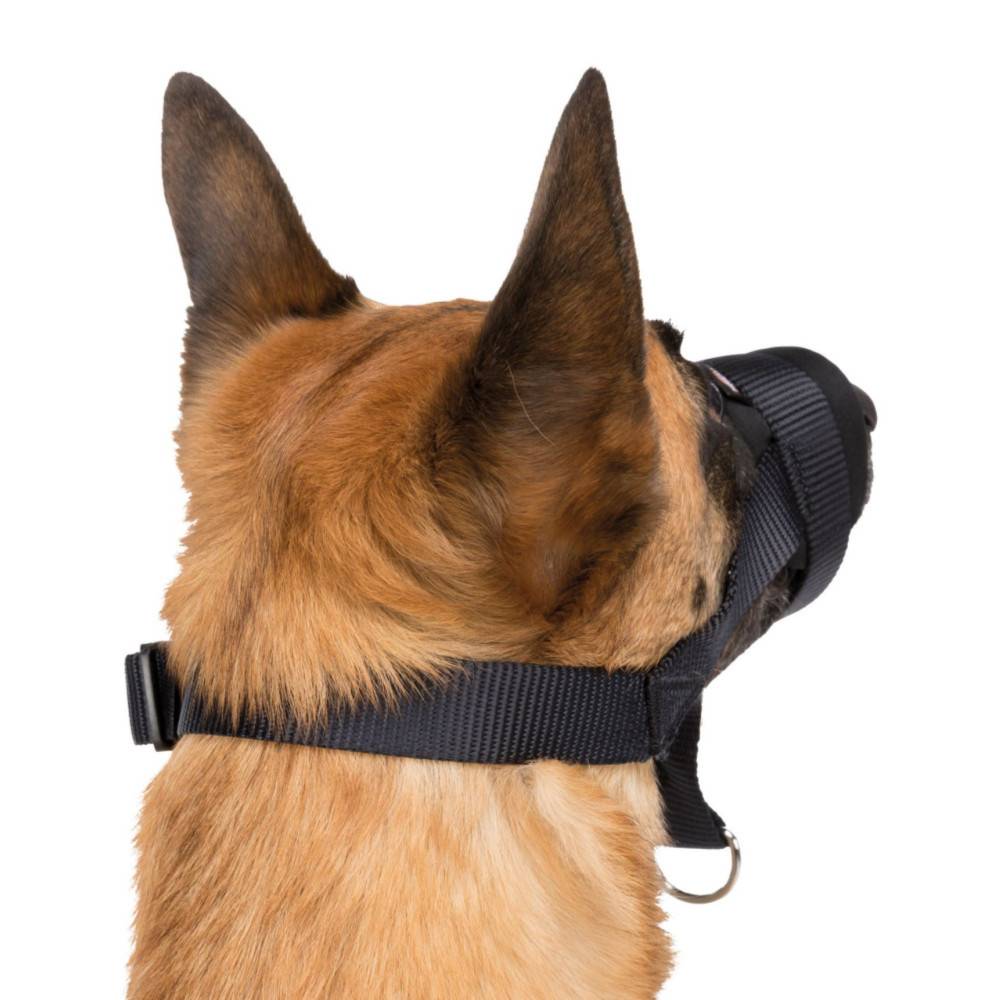 Trixie - Muselière sangle taille L-XL pour chien Bouvier Bernois, Golden Retriever. - Image 4