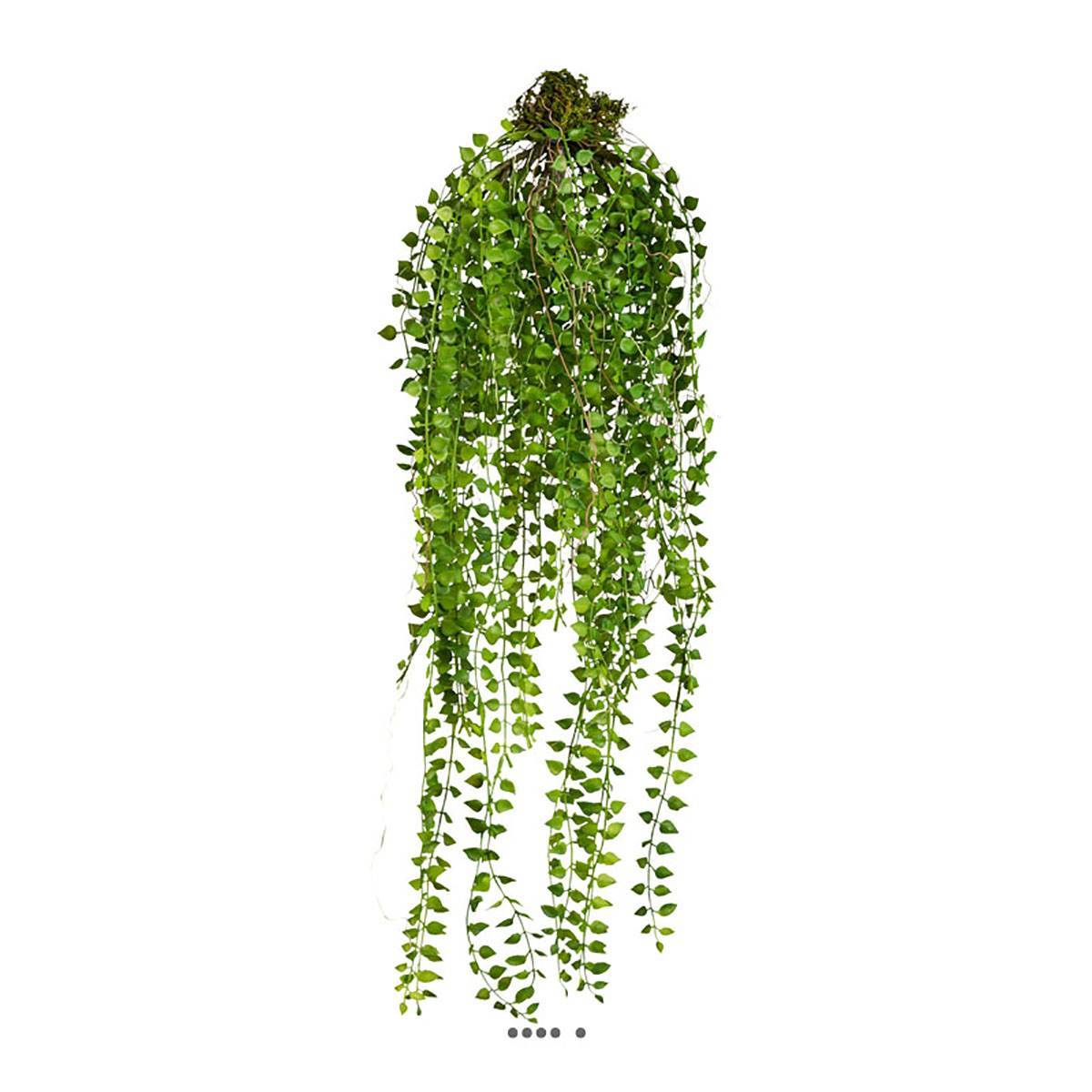 Chute de columnea artificiel L 70 cm feuillage plastique - Image 1