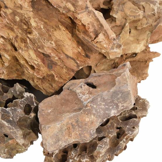 Pierres du Dragon Roche Naturelle Décoration Aquarium Aquascaping Terrarium 5-30 cm 10 kg - ComfortXL Outdoor Living - Image 5