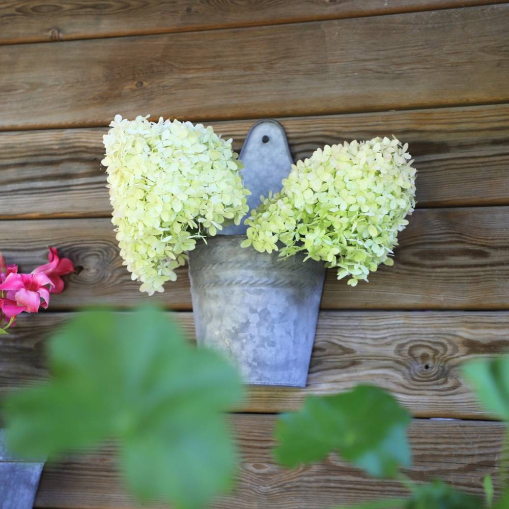 Chemin De Campagne - Jardinière extérieure murale porte plante métal gris 32.5cm Chemin de campagne - Image 2
