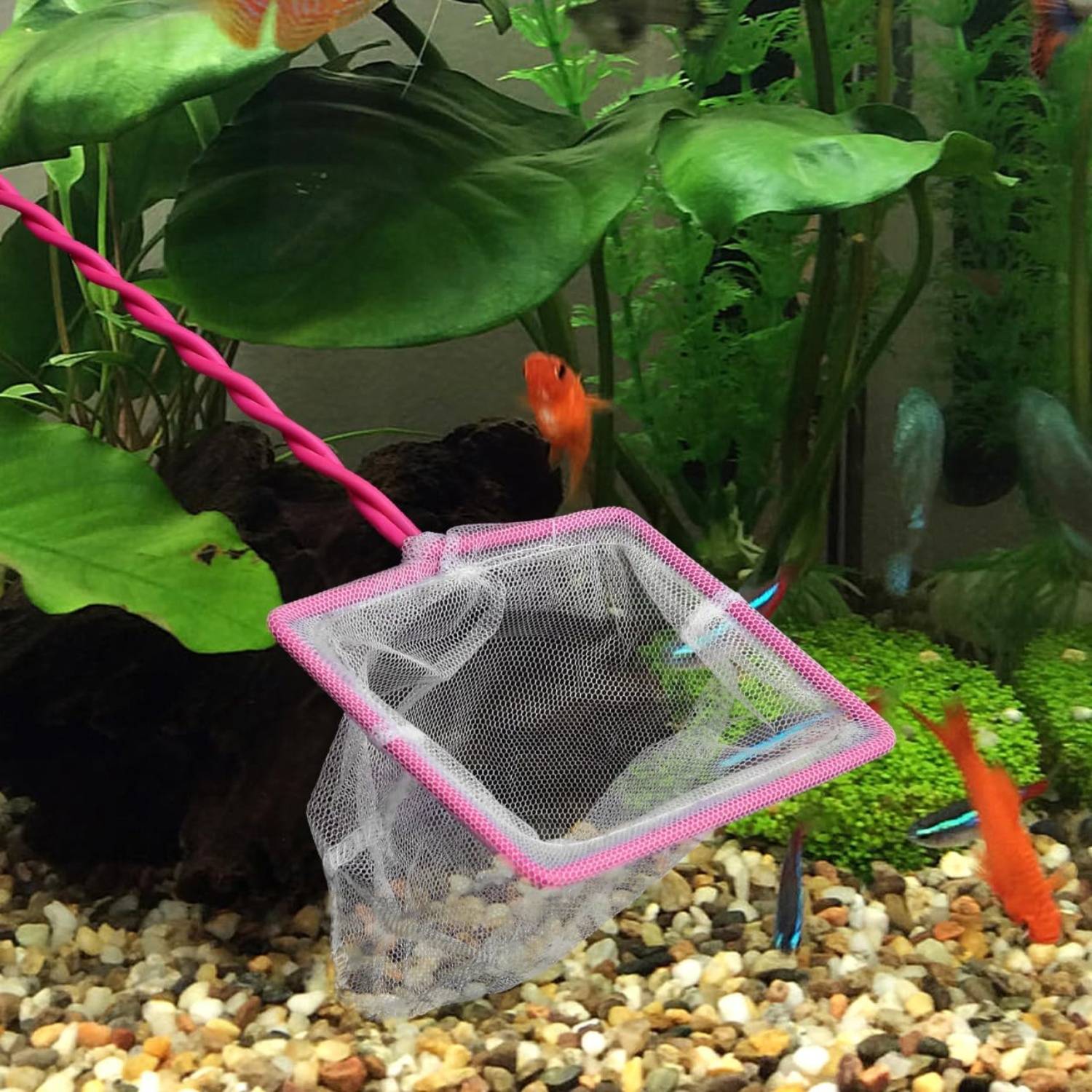 DtopbuyAge - Filet Sécurisé pour Aquarium DtopbuyAge - Image 4