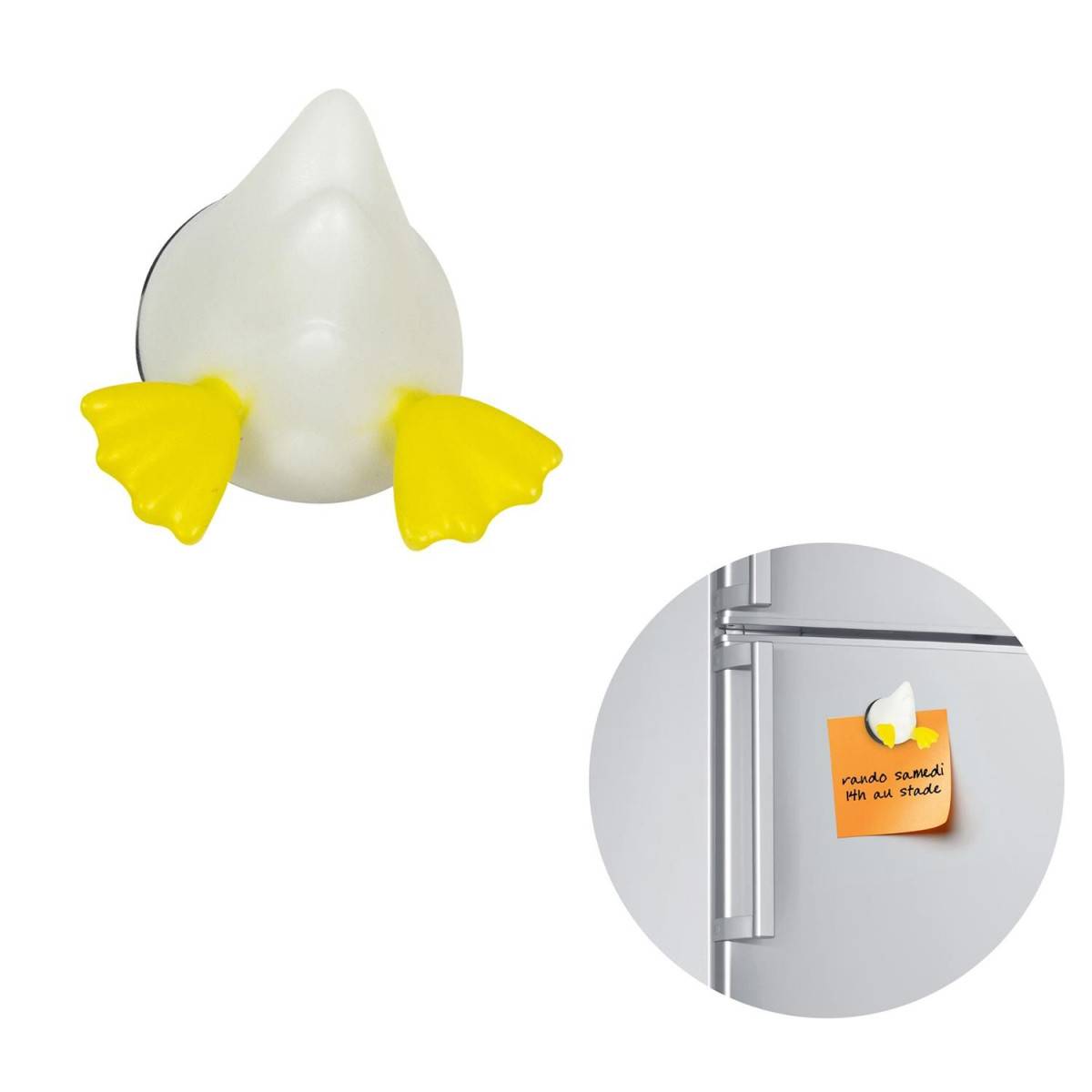 Cook Concept - Lot de 3 Magnets "Derrière d'Animaux" 5cm Multicolore - Image 2