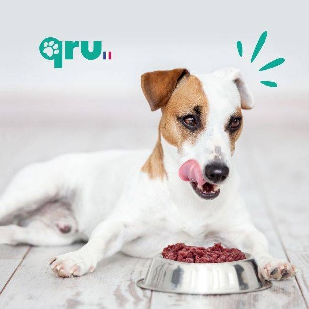 0 - QRU - Aliment barf complet pour chien - Bœuf/Dinde - 450 g - Image 7