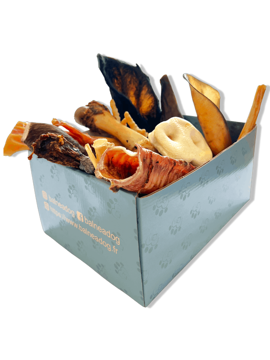 Box de Friandises Naturelles | Moyens et Grands - Image 1