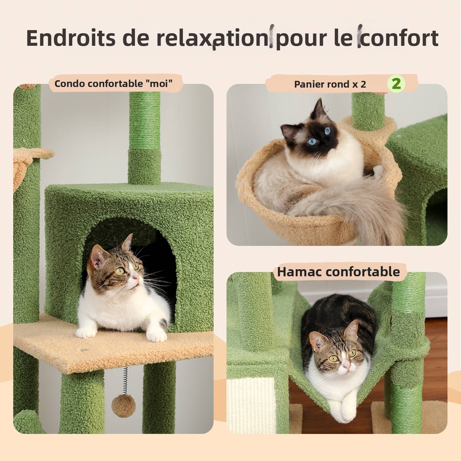 Arbre à Chat du Sol au Plafond avec 2 Poteaux Cactus PAWZ Road - Image 5