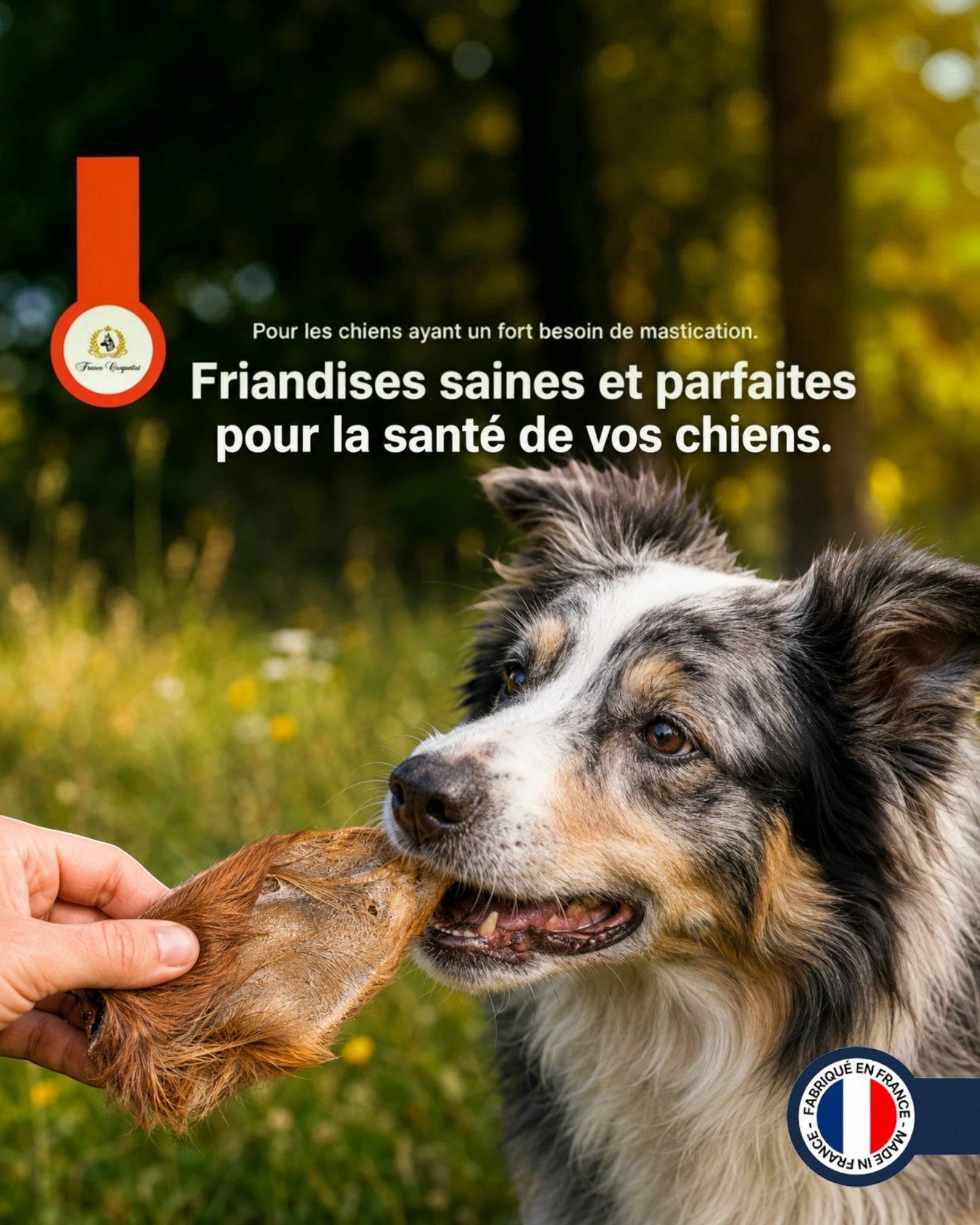 France Croquettes - France Croquettes Friandise pour chien Oreilles de bœuf poilues - 2 x 500 g - Image 6