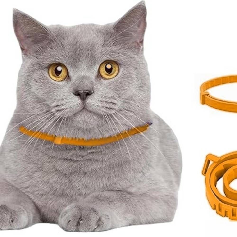 IntiMeg - Collier vermifuge pour chat IntiMeg - Image 3