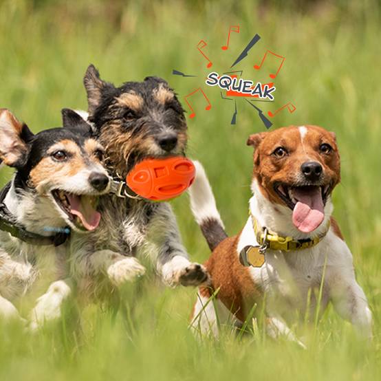 Petsation - Jouet orange en latex à mâcher robuste et résistant pour moyens et grands chiens - Petsation - Image 7
