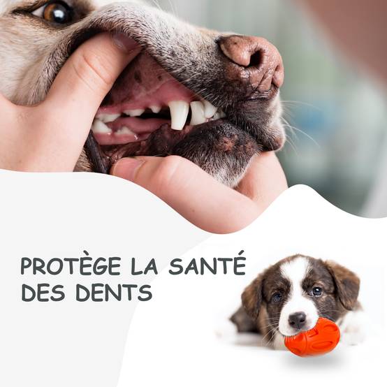 Petsation - Jouet orange en latex à mâcher robuste et résistant pour moyens et grands chiens - Petsation - Image 4