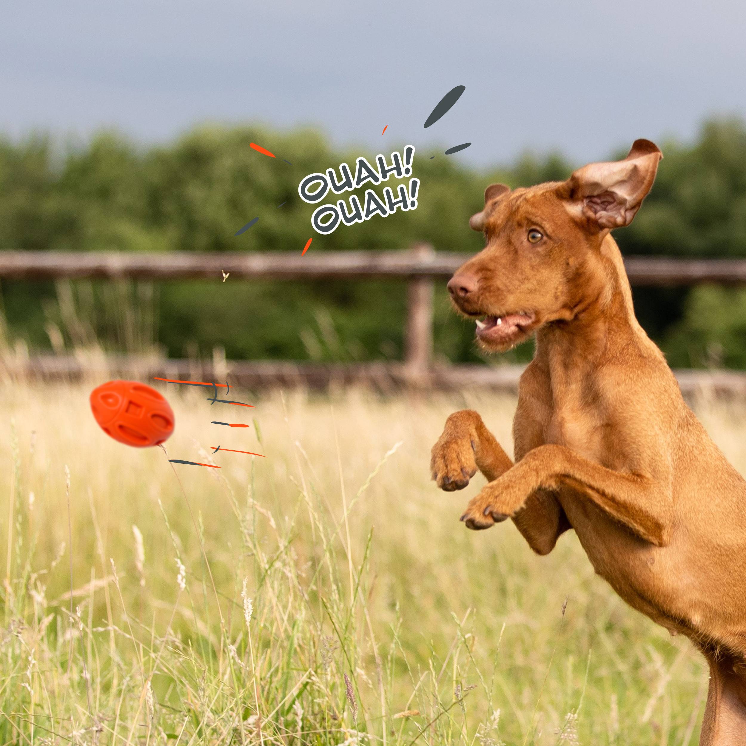 Petsation - Jouet orange en latex à mâcher robuste et résistant pour moyens et grands chiens - Petsation - Image 3