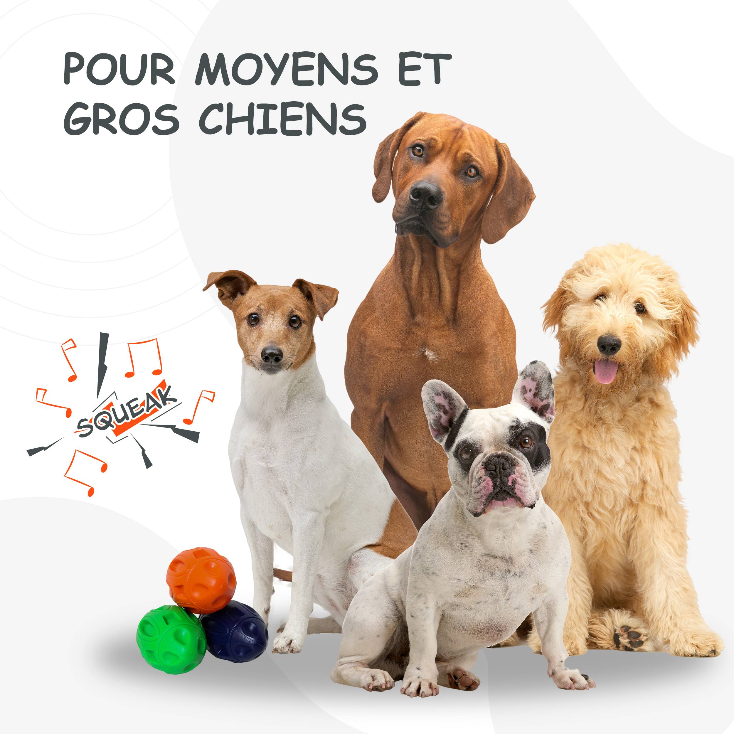 Petsation - Jouet orange en latex à mâcher robuste et résistant pour moyens et grands chiens - Petsation - Image 6
