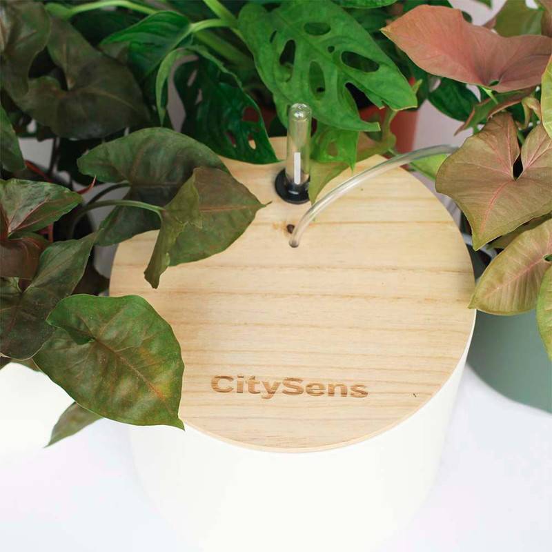 Système d'irrigation automatique par goutte-à-goutte CitySens avec réservoir blanc - Image 3