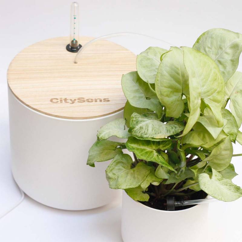 Système d'irrigation automatique par goutte-à-goutte CitySens avec réservoir blanc - Image 4
